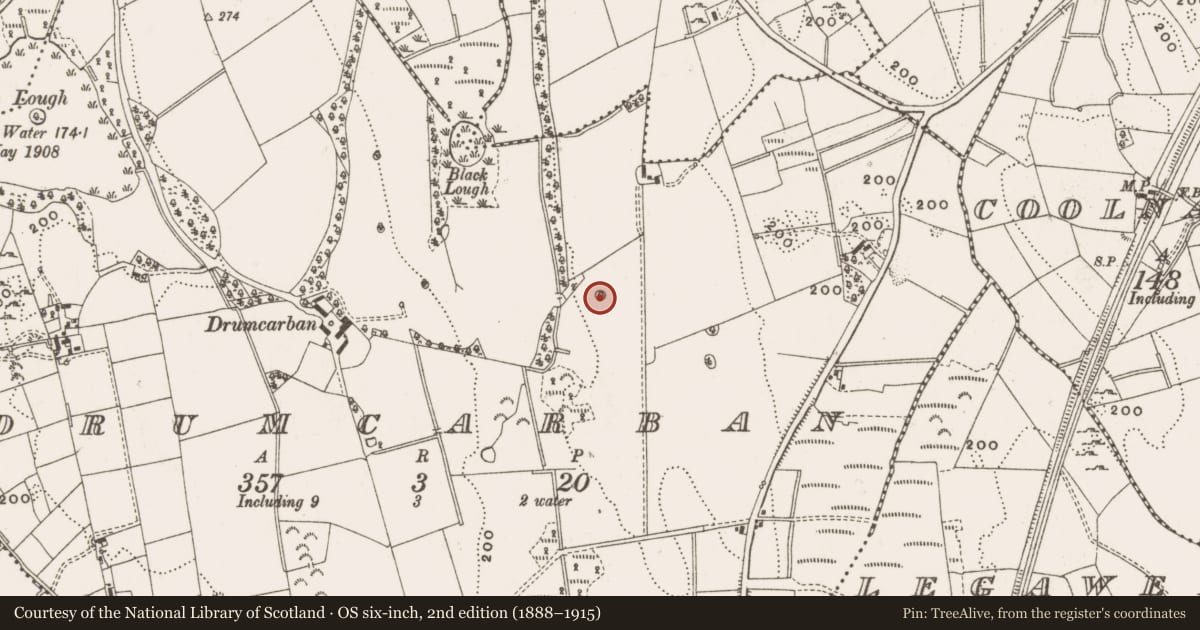 Ordnance Survey six-inch map, 2nd edition (1888–1915) covering the location of Designed landscape - tree-ring, Drumcarban, County Cavan, with a pin at the register's coordinates