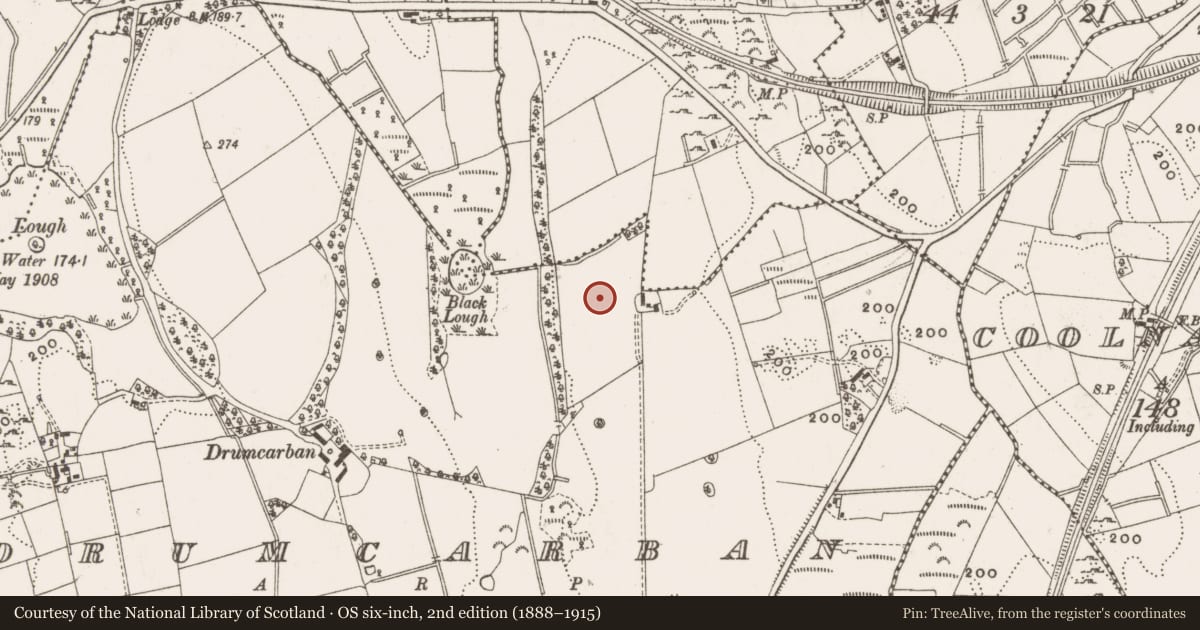 Ordnance Survey six-inch map, 2nd edition (1888–1915) covering the location of Designed landscape - tree-ring, Drumcarban, County Cavan, with a pin at the register's coordinates