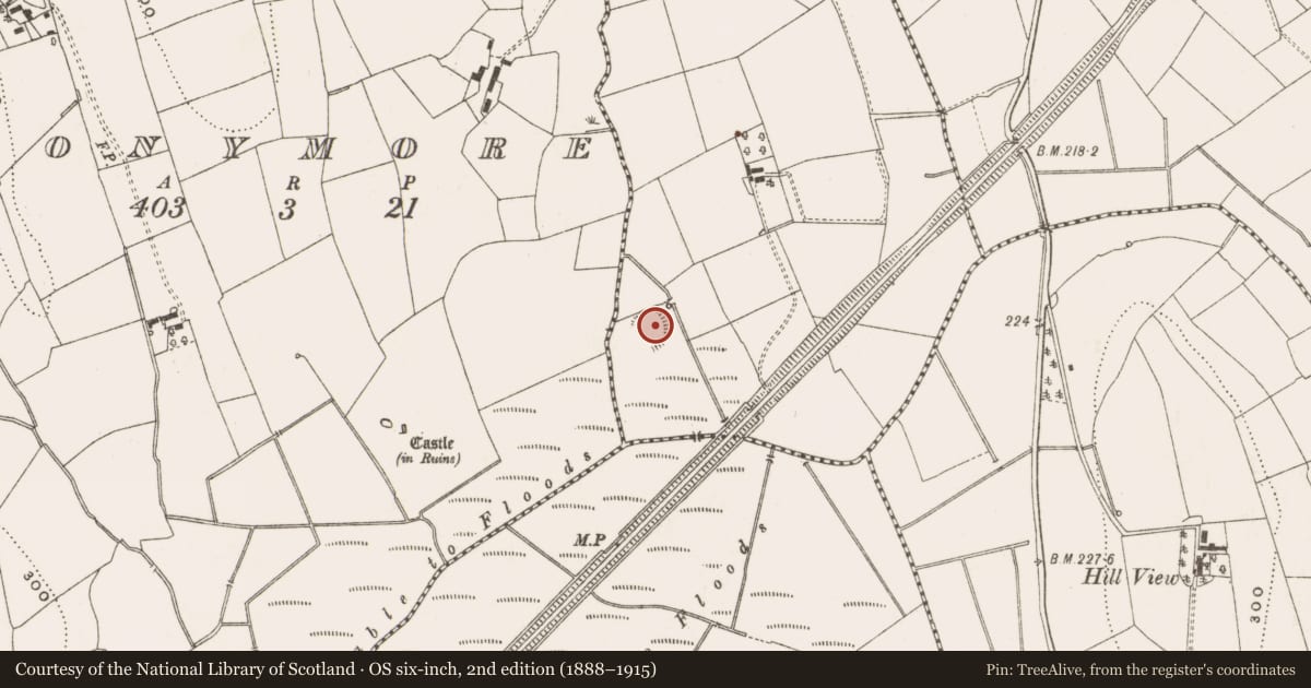 Ordnance Survey six-inch map, 2nd edition (1888–1915) covering the location of Ringfort - rath, Drumconnick, County Cavan, with a pin at the register's coordinates