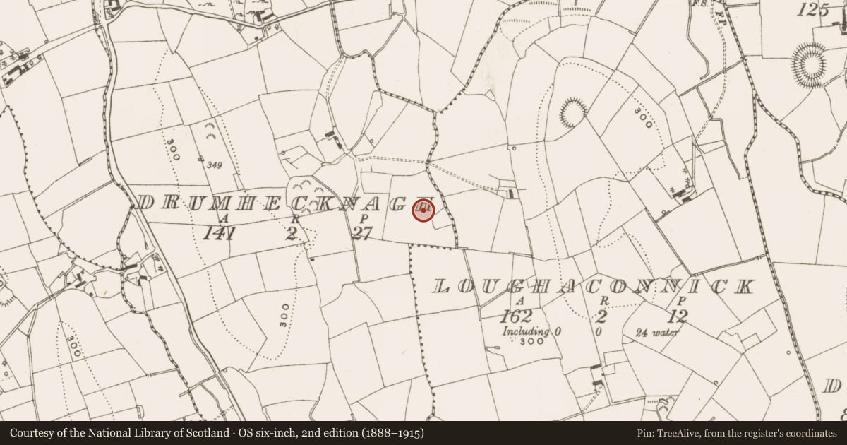 Ordnance Survey six-inch map, 2nd edition (1888–1915) covering the location of Ringfort - rath, Drumhecknagh, County Cavan, with a pin at the register's coordinates