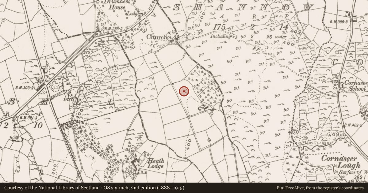 Ordnance Survey six-inch map, 2nd edition (1888–1915) covering the location of Designed landscape - tree-ring, Drumheel, County Cavan, with a pin at the register's coordinates
