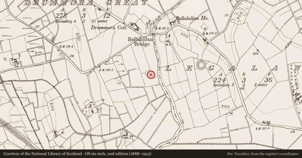 Ordnance Survey six-inch map, 2nd edition (1888–1915) covering the location of Ringfort - rath, Drummora Great, County Cavan, with a pin at the register's coordinates