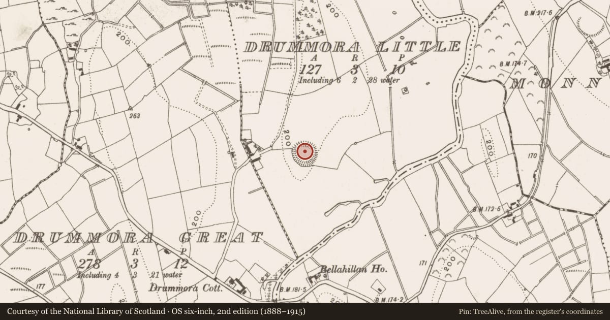 Ordnance Survey six-inch map, 2nd edition (1888–1915) covering the location of Ringfort - rath, Drummora Little, County Cavan, with a pin at the register's coordinates