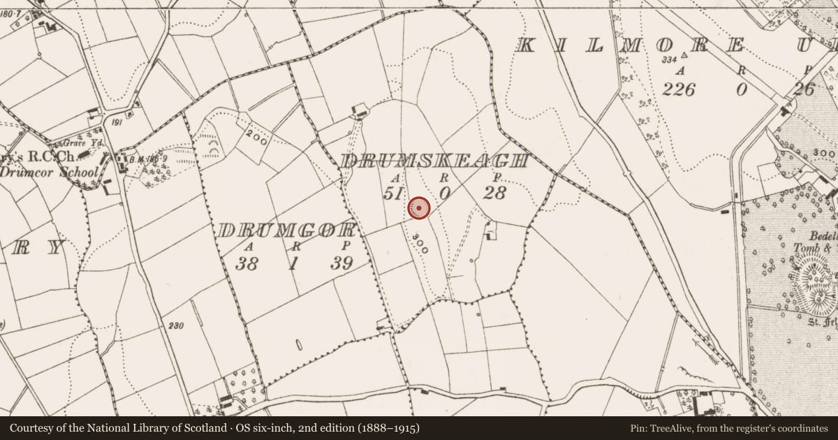 Ordnance Survey six-inch map, 2nd edition (1888–1915) covering the location of Ringfort - rath, Drumskeagh, County Cavan, with a pin at the register's coordinates