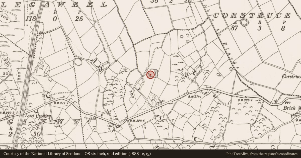Ordnance Survey six-inch map, 2nd edition (1888–1915) covering the location of Ringfort - rath, Garrymore, County Cavan, with a pin at the register's coordinates
