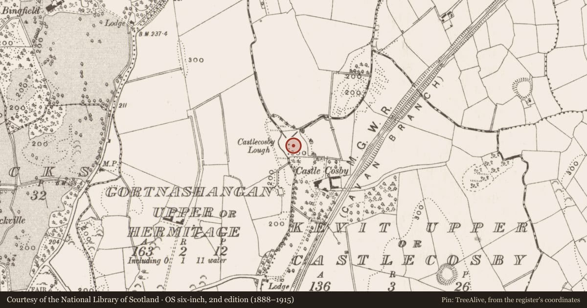 Ordnance Survey six-inch map, 2nd edition (1888–1915) covering the location of Crannog, County Cavan, with a pin at the register's coordinates