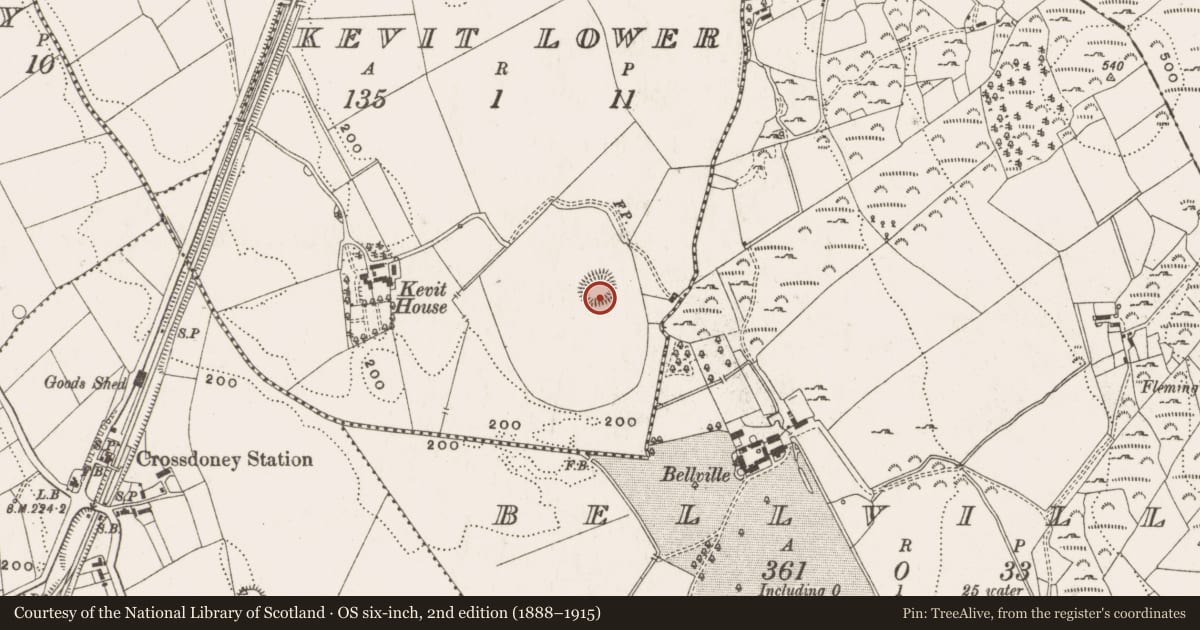 Ordnance Survey six-inch map, 2nd edition (1888–1915) covering the location of Ringfort - rath, Kevit Lower, County Cavan, with a pin at the register's coordinates