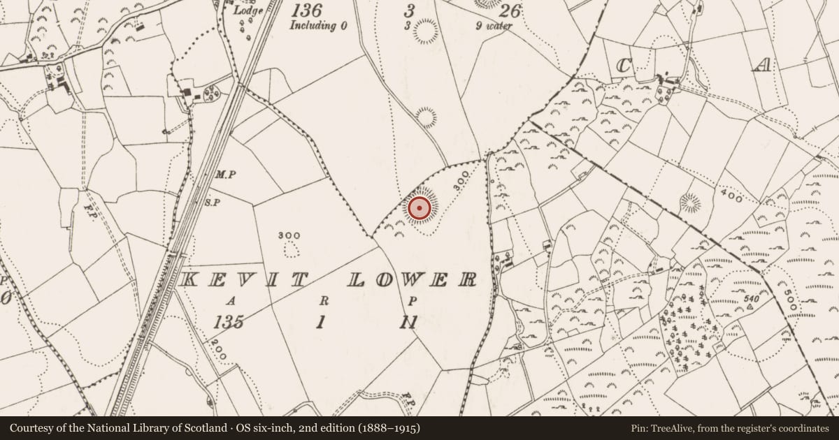 Ordnance Survey six-inch map, 2nd edition (1888–1915) covering the location of Souterrain, Kevit Lower, County Cavan, with a pin at the register's coordinates