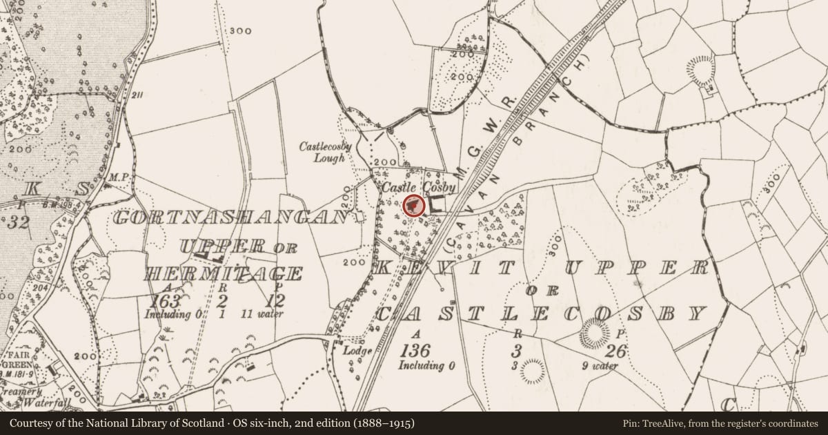 Ordnance Survey six-inch map, 2nd edition (1888–1915) covering the location of Castle - unclassified, Kevit Upper Or Castlecosby, County Cavan, with a pin at the register's coordinates