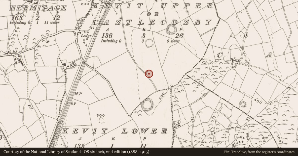 Ordnance Survey six-inch map, 2nd edition (1888–1915) covering the location of Ringfort - rath, Kevit Upper Or Castlecosby, County Cavan, with a pin at the register's coordinates