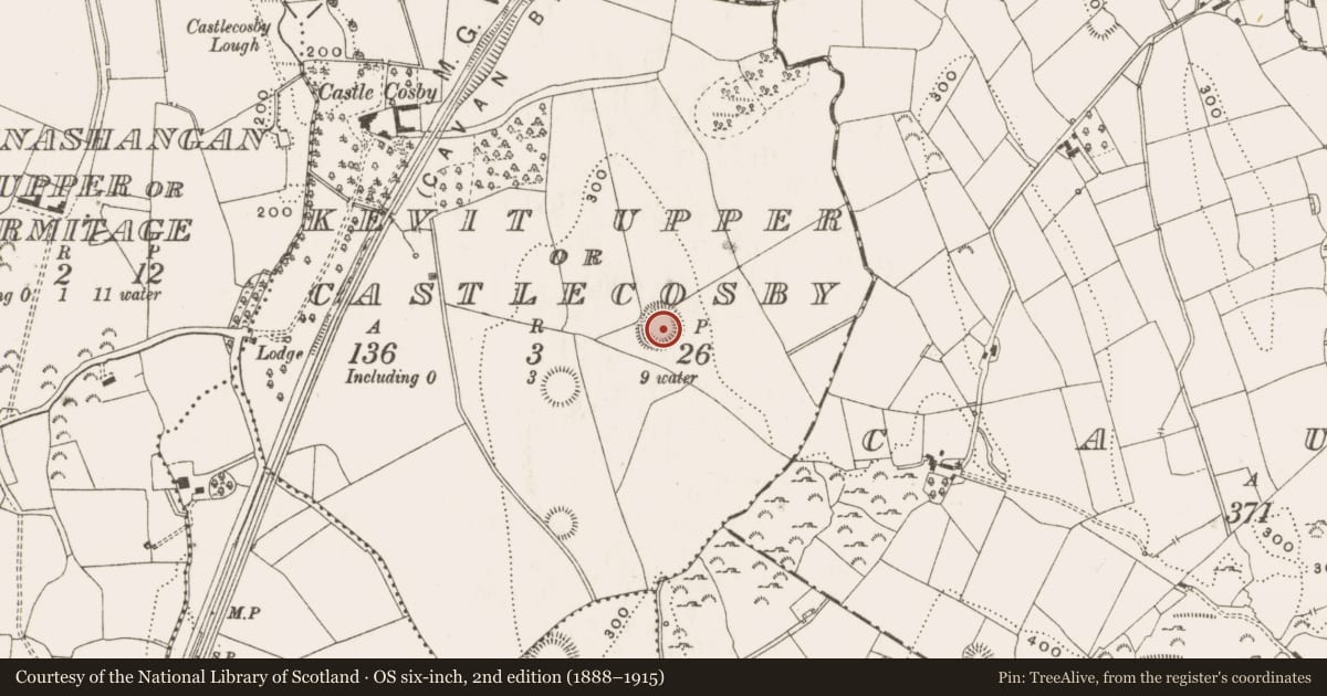 Ordnance Survey six-inch map, 2nd edition (1888–1915) covering the location of Ringfort - rath, Kevit Upper Or Castlecosby, County Cavan, with a pin at the register's coordinates