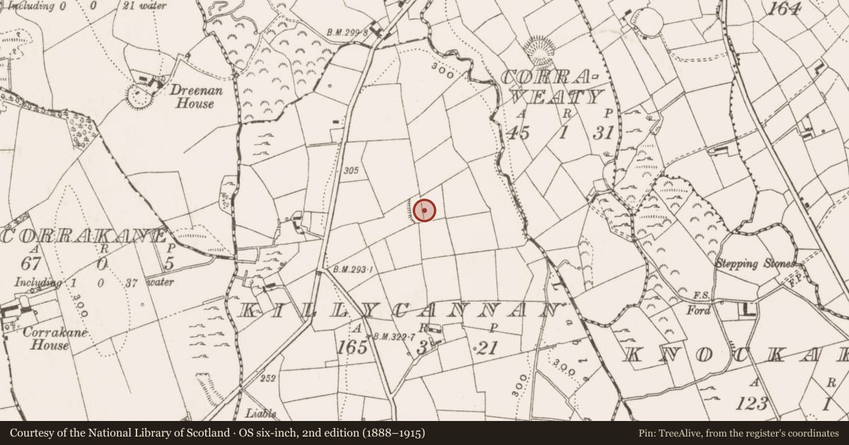 Ordnance Survey six-inch map, 2nd edition (1888–1915) covering the location of Ringfort - rath, Killycannan, County Cavan, with a pin at the register's coordinates