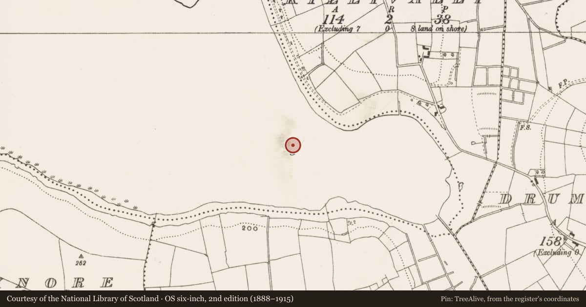 Ordnance Survey six-inch map, 2nd edition (1888–1915) covering the location of Crannog, Killyvally, County Cavan, with a pin at the register's coordinates
