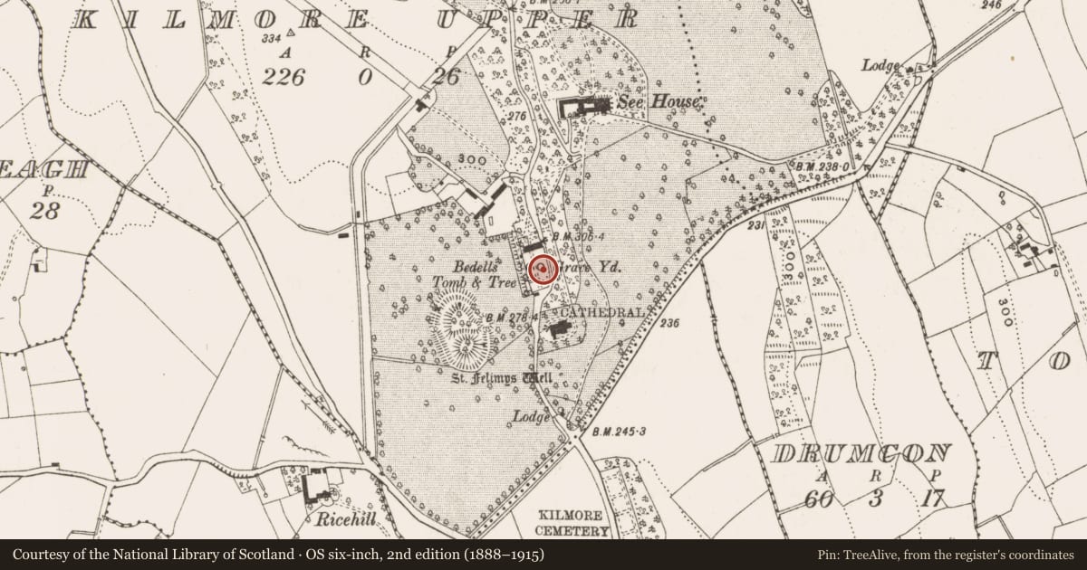 Ordnance Survey six-inch map, 2nd edition (1888–1915) covering the location of Graveyard, Kilmore Upper, County Cavan, with a pin at the register's coordinates