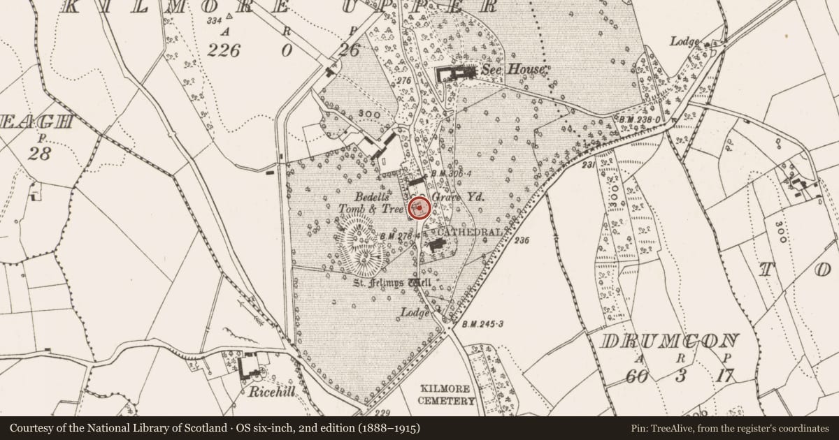 Ordnance Survey six-inch map, 2nd edition (1888–1915) covering the location of Tomb - chest tomb, Kilmore Upper, County Cavan, with a pin at the register's coordinates
