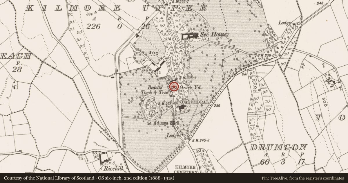 Ordnance Survey six-inch map, 2nd edition (1888–1915) covering the location of Headstone, Kilmore Upper, County Cavan, with a pin at the register's coordinates