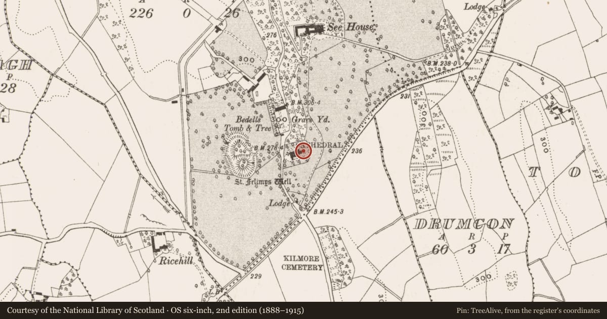Ordnance Survey six-inch map, 2nd edition (1888–1915) covering the location of Architectural feature, Kilmore Upper, County Cavan, with a pin at the register's coordinates