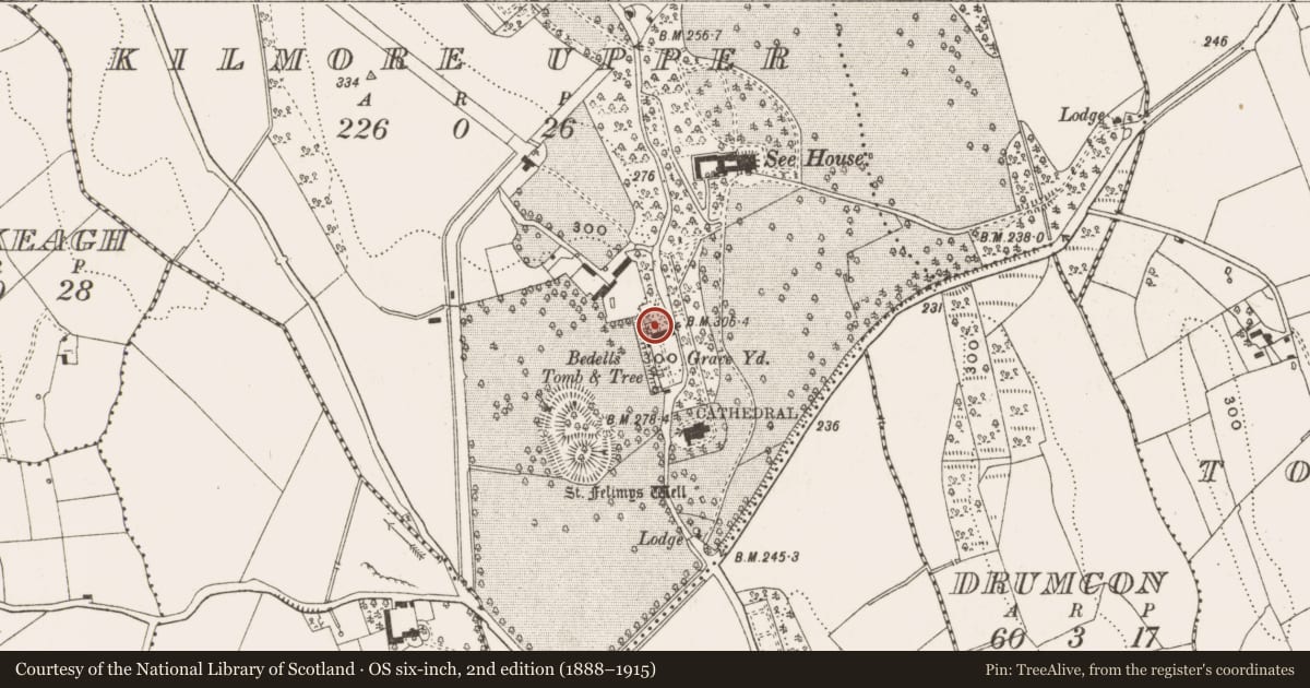 Ordnance Survey six-inch map, 2nd edition (1888–1915) covering the location of Ecclesiastical residence, Kilmore Upper, County Cavan, with a pin at the register's coordinates