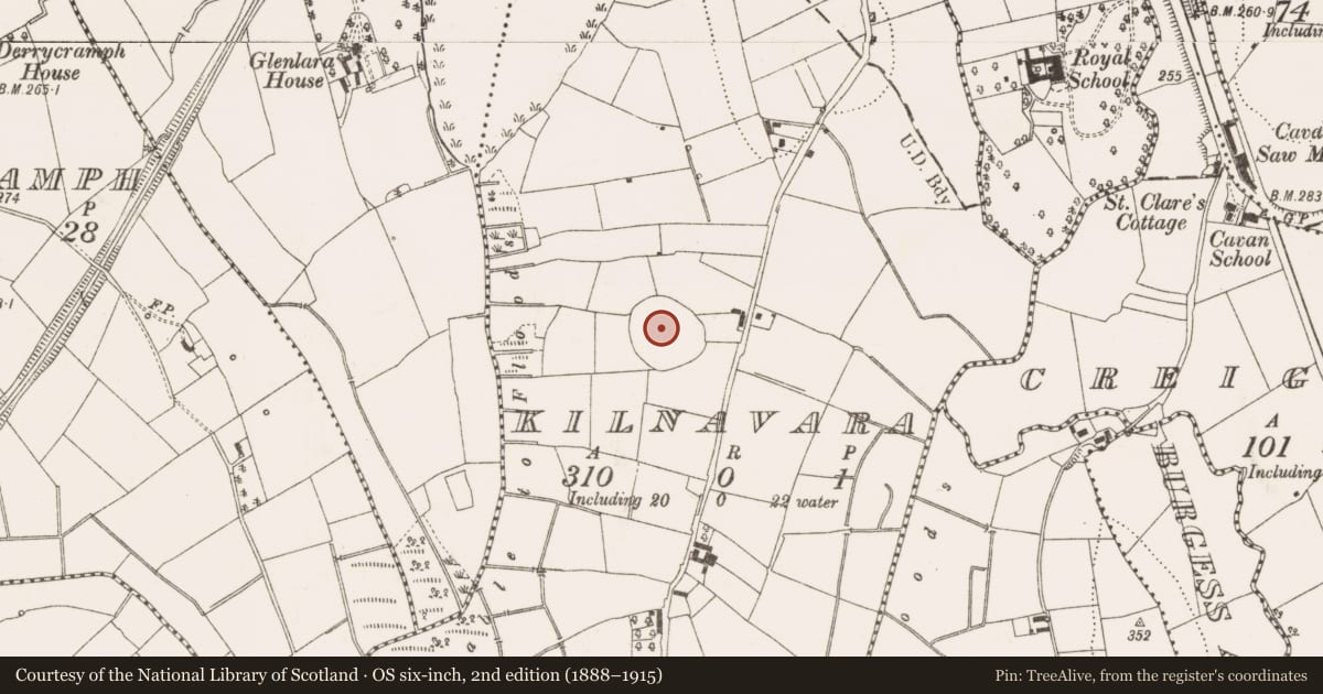 Ordnance Survey six-inch map, 2nd edition (1888–1915) covering the location of Hilltop enclosure, Kilnavara, County Cavan, with a pin at the register's coordinates