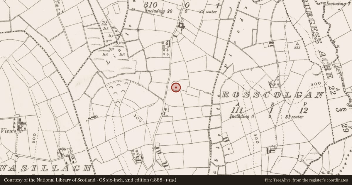 Ordnance Survey six-inch map, 2nd edition (1888–1915) covering the location of Ringfort - rath, Kilnavara, County Cavan, with a pin at the register's coordinates