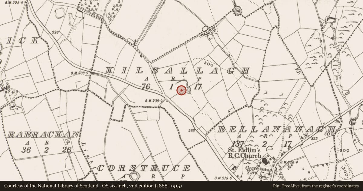 Ordnance Survey six-inch map, 2nd edition (1888–1915) covering the location of Ringfort - rath, Kilsallagh, County Cavan, with a pin at the register's coordinates