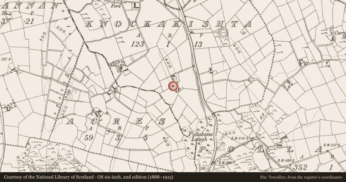 Ordnance Survey six-inch map, 2nd edition (1888–1915) covering the location of Ringfort - rath, Knockakishta, County Cavan, with a pin at the register's coordinates