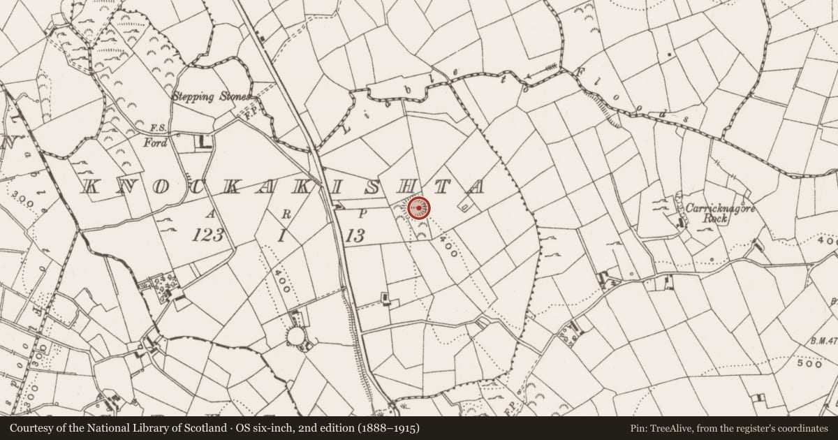 Ordnance Survey six-inch map, 2nd edition (1888–1915) covering the location of Ringfort - rath, Knockakishta, County Cavan, with a pin at the register's coordinates
