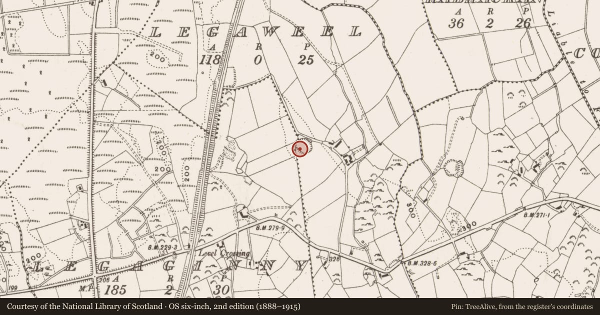 Ordnance Survey six-inch map, 2nd edition (1888–1915) covering the location of Ringfort - rath, Legaweel, County Cavan, with a pin at the register's coordinates