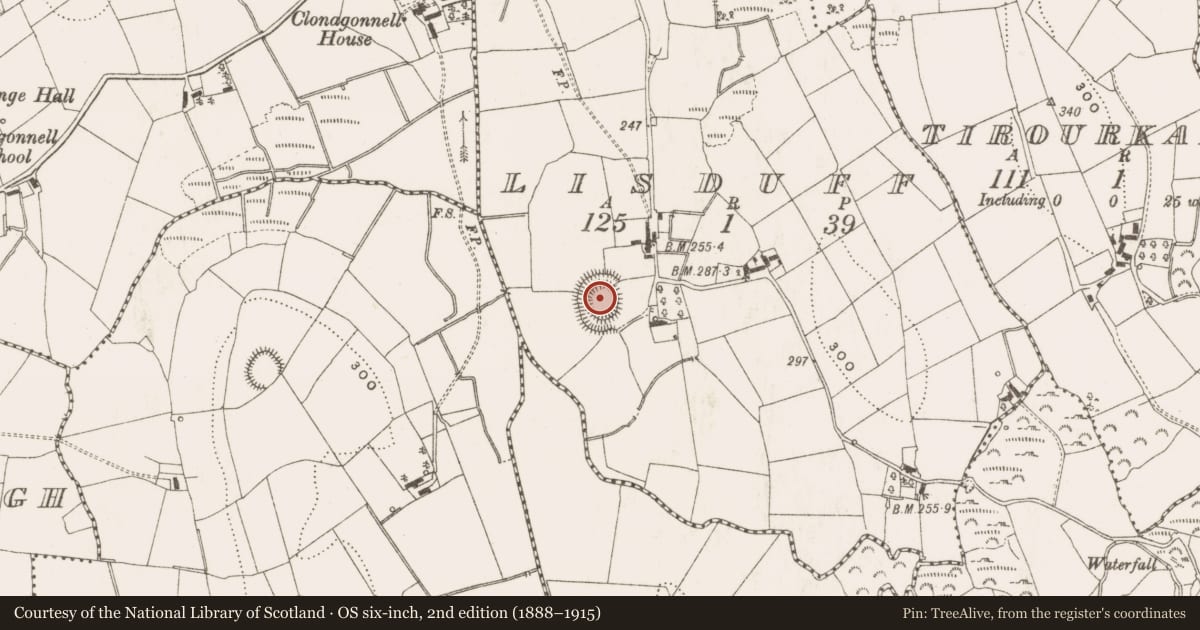 Ordnance Survey six-inch map, 2nd edition (1888–1915) covering the location of Ringfort - rath, Lisduff, County Cavan, with a pin at the register's coordinates