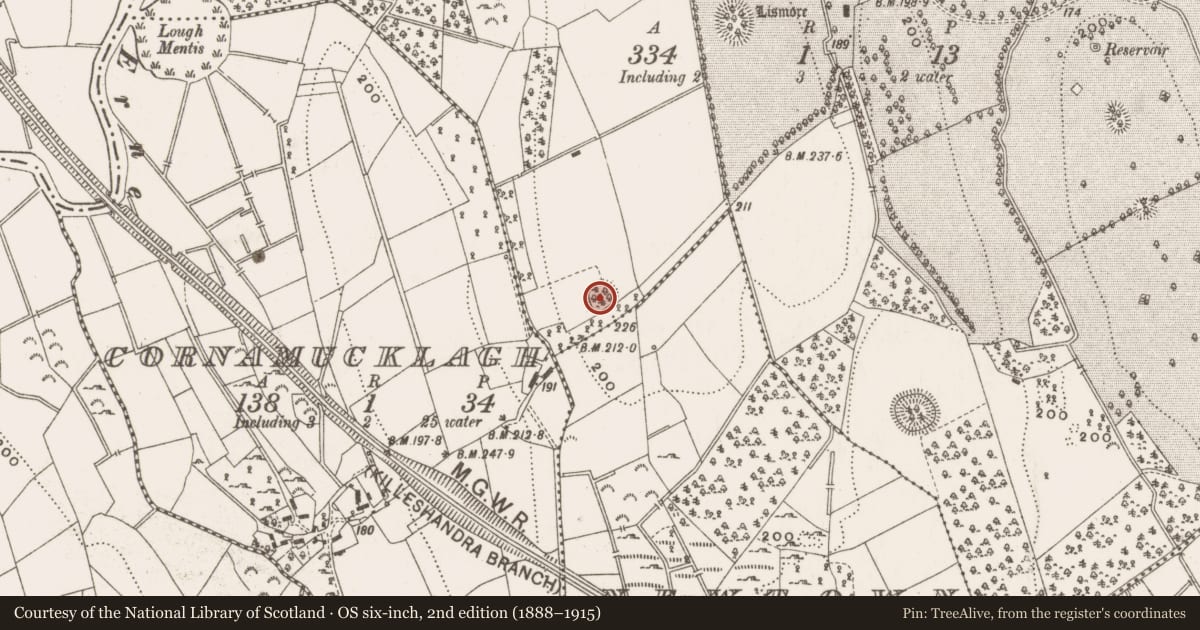 Ordnance Survey six-inch map, 2nd edition (1888–1915) covering the location of Ringfort - rath, Lismore Demesne, County Cavan, with a pin at the register's coordinates