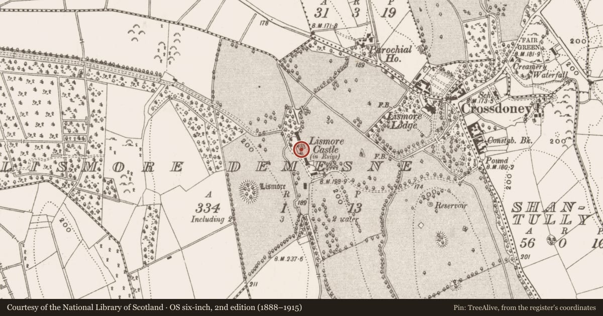 Ordnance Survey six-inch map, 2nd edition (1888–1915) covering the location of Castle - unclassified, Lismore Demesne, County Cavan, with a pin at the register's coordinates