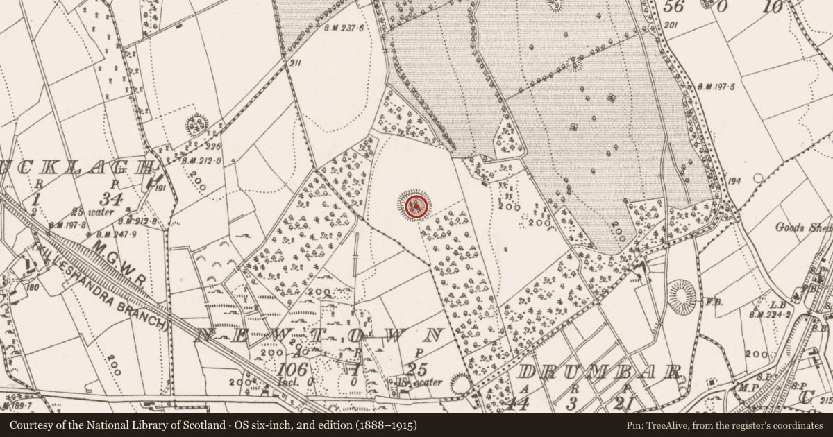 Ordnance Survey six-inch map, 2nd edition (1888–1915) covering the location of Ringfort - rath, Lismore Demesne, County Cavan, with a pin at the register's coordinates