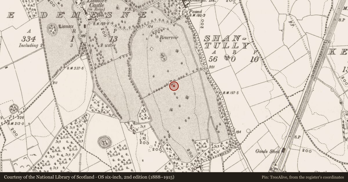 Ordnance Survey six-inch map, 2nd edition (1888–1915) covering the location of Ringfort - rath, Lismore Demesne, County Cavan, with a pin at the register's coordinates