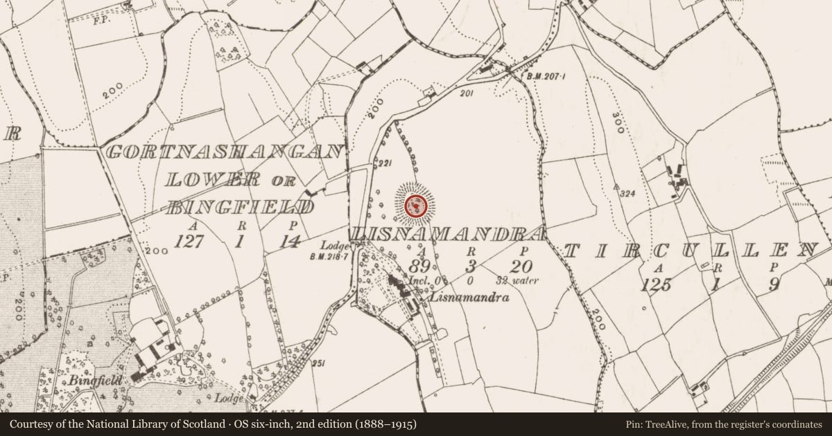 Ordnance Survey six-inch map, 2nd edition (1888–1915) covering the location of Ringfort - rath, Lisnamandra, County Cavan, with a pin at the register's coordinates