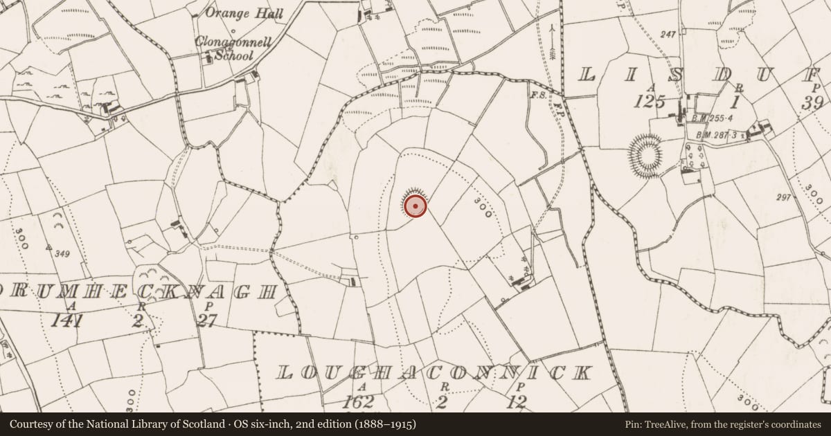 Ordnance Survey six-inch map, 2nd edition (1888–1915) covering the location of Ringfort - rath, Loughaconnick, County Cavan, with a pin at the register's coordinates
