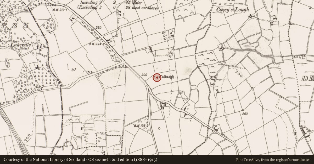 Ordnance Survey six-inch map, 2nd edition (1888–1915) covering the location of Children's burial ground, Marahill, County Cavan, with a pin at the register's coordinates