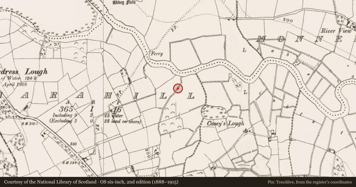 Ordnance Survey six-inch map, 2nd edition (1888–1915) covering the location of Ringfort - rath, Marahill, County Cavan, with a pin at the register's coordinates
