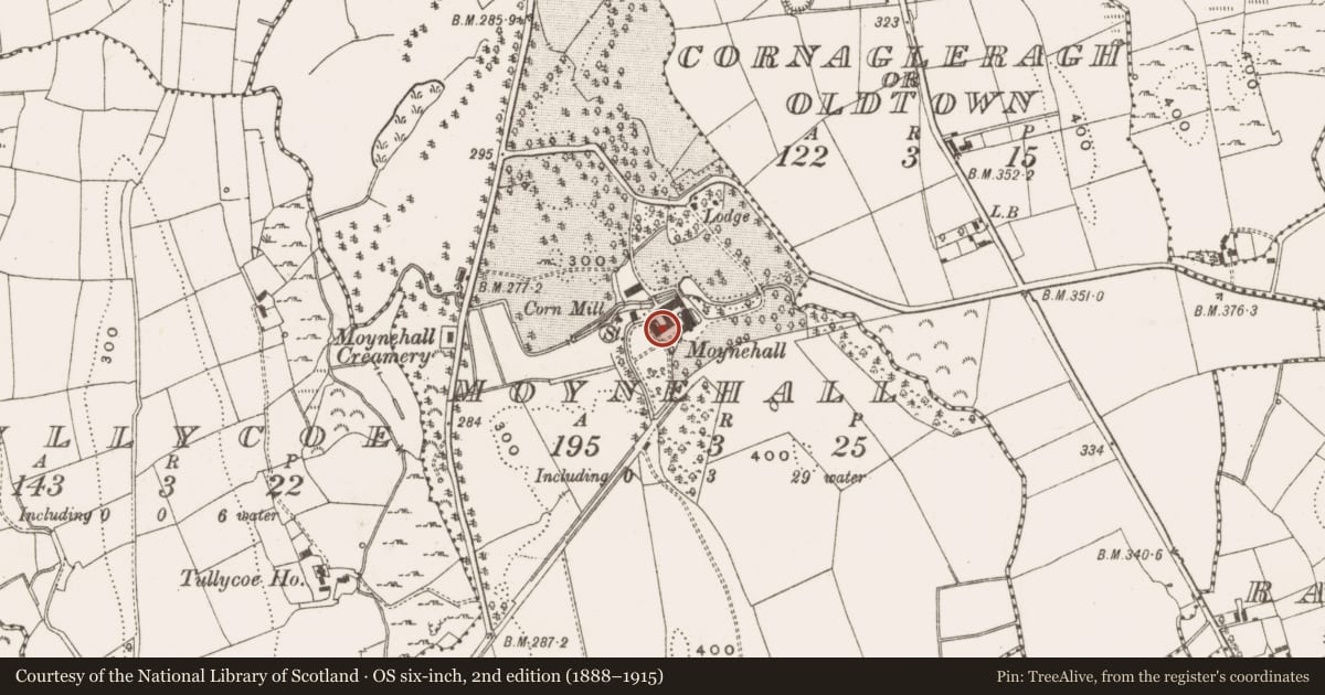 Ordnance Survey six-inch map, 2nd edition (1888–1915) covering the location of Castle - unclassified, Moynehall, County Cavan, with a pin at the register's coordinates
