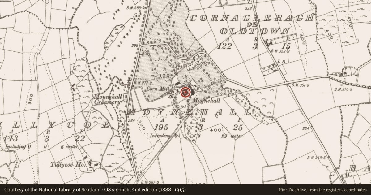 Ordnance Survey six-inch map, 2nd edition (1888–1915) covering the location of Bawn, Moynehall, County Cavan, with a pin at the register's coordinates