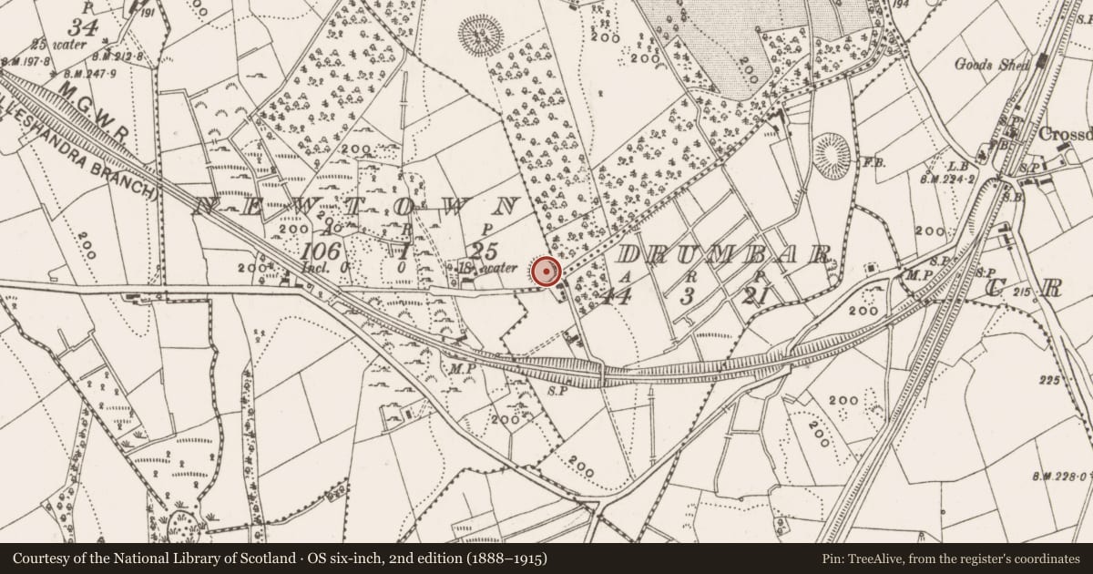 Ordnance Survey six-inch map, 2nd edition (1888–1915) covering the location of Ringfort - rath, Newtown, County Cavan, with a pin at the register's coordinates