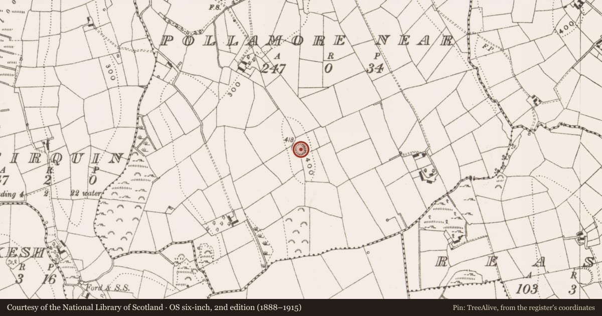 Ordnance Survey six-inch map, 2nd edition (1888–1915) covering the location of Ringfort - rath, Pollamore Near, County Cavan, with a pin at the register's coordinates