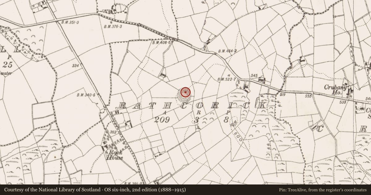 Ordnance Survey six-inch map, 2nd edition (1888–1915) covering the location of Ringfort - rath, Rathcorick, County Cavan, with a pin at the register's coordinates