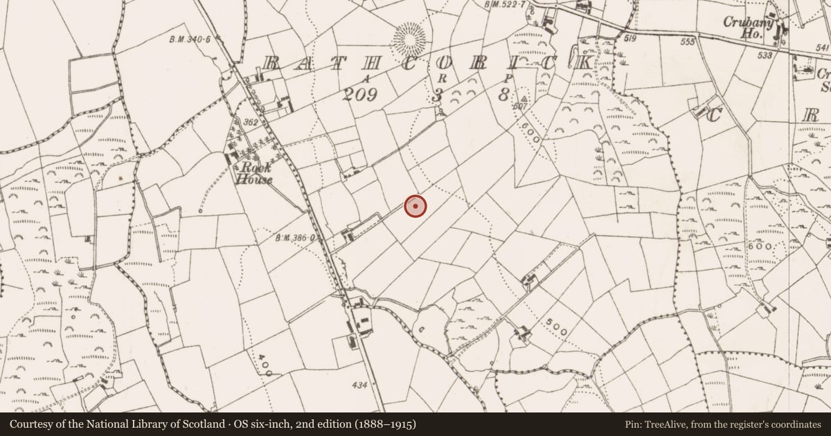 Ordnance Survey six-inch map, 2nd edition (1888–1915) covering the location of Ringfort - rath, Rathcorick, County Cavan, with a pin at the register's coordinates