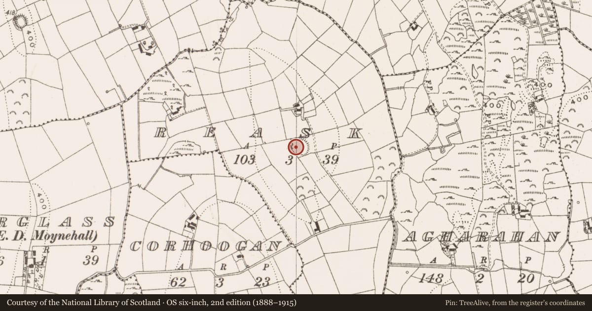 Ordnance Survey six-inch map, 2nd edition (1888–1915) covering the location of Ringfort - rath, Reask, County Cavan, with a pin at the register's coordinates