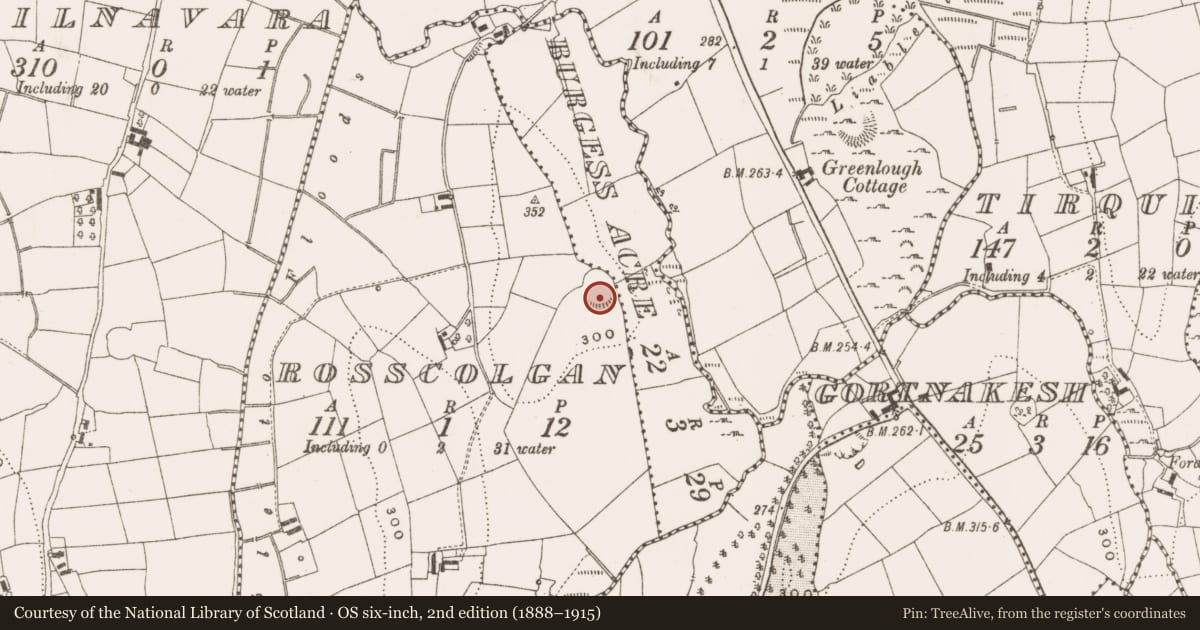 Ordnance Survey six-inch map, 2nd edition (1888–1915) covering the location of Ringfort - rath, Rosscolgan, County Cavan, with a pin at the register's coordinates