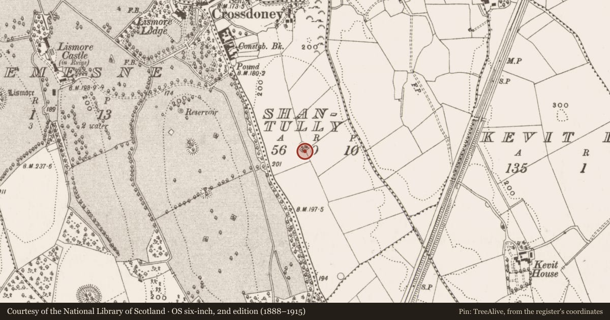 Ordnance Survey six-inch map, 2nd edition (1888–1915) covering the location of Ringfort - rath, Shantully, County Cavan, with a pin at the register's coordinates