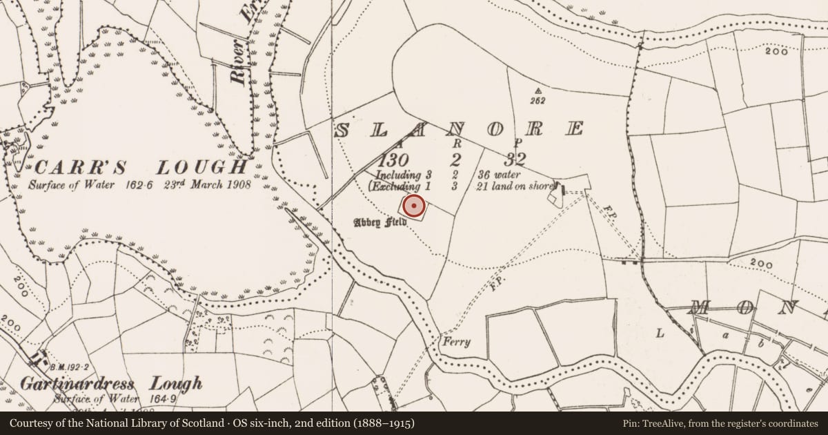 Ordnance Survey six-inch map, 2nd edition (1888–1915) covering the location of Church, Slanore, County Cavan, with a pin at the register's coordinates