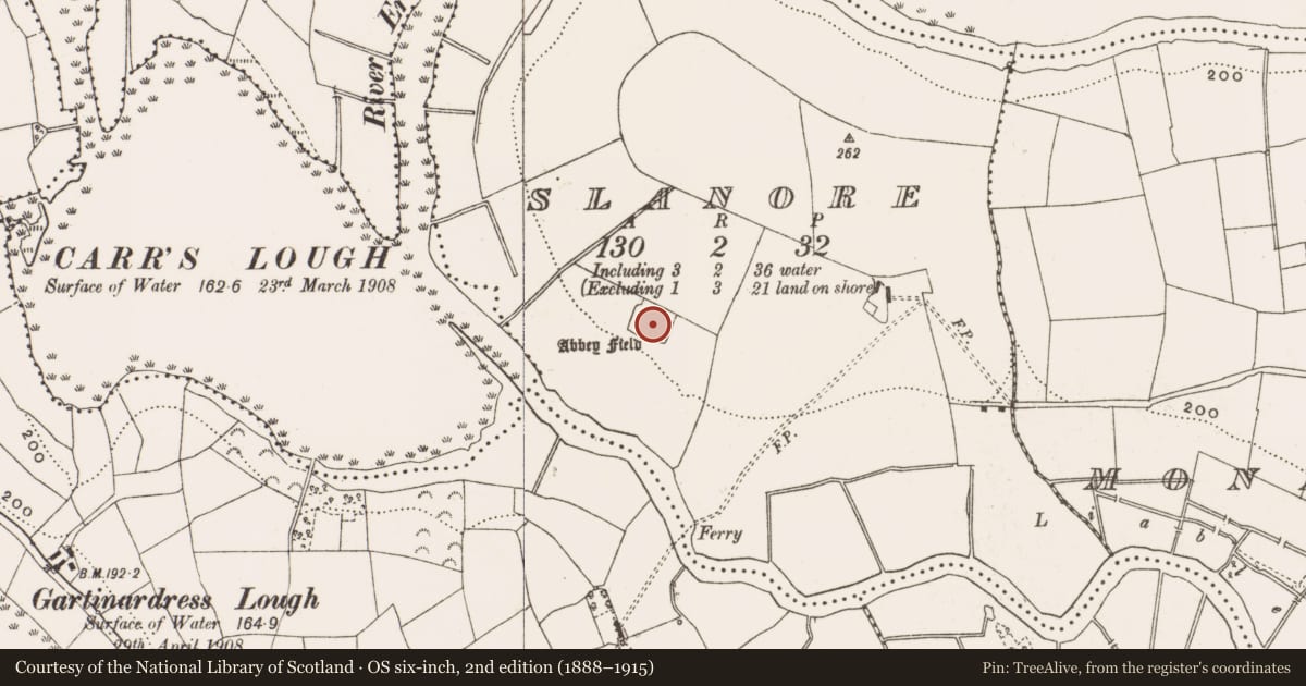 Ordnance Survey six-inch map, 2nd edition (1888–1915) covering the location of Graveyard, Slanore, County Cavan, with a pin at the register's coordinates