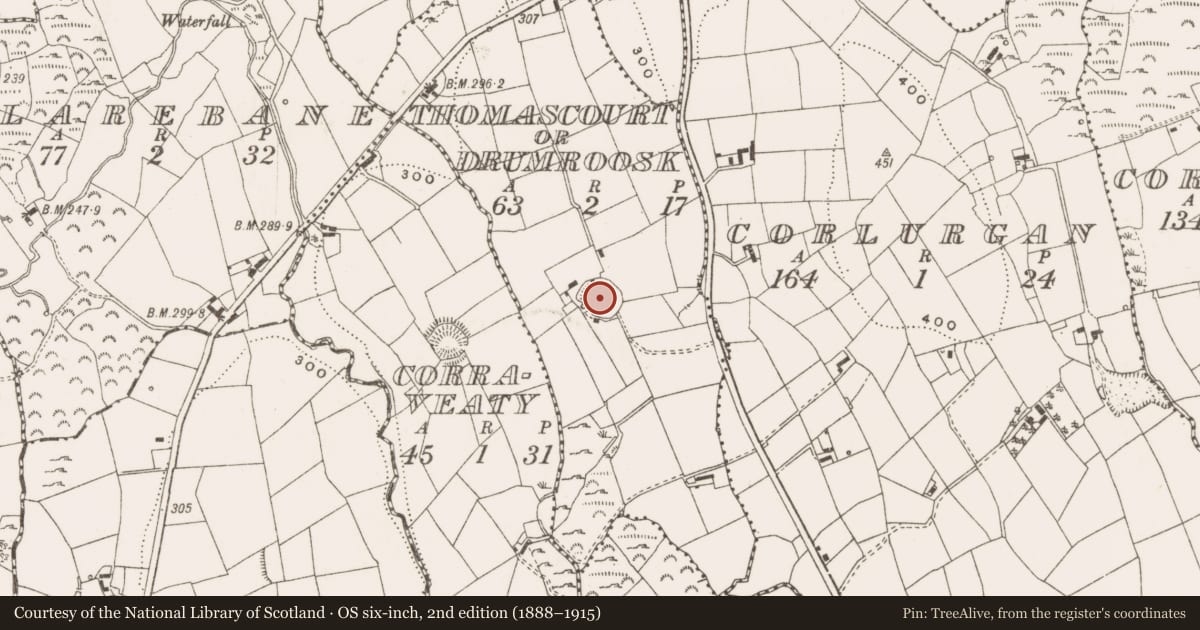 Ordnance Survey six-inch map, 2nd edition (1888–1915) covering the location of Ringfort - rath, Thomascourt Or Drumroosk, County Cavan, with a pin at the register's coordinates