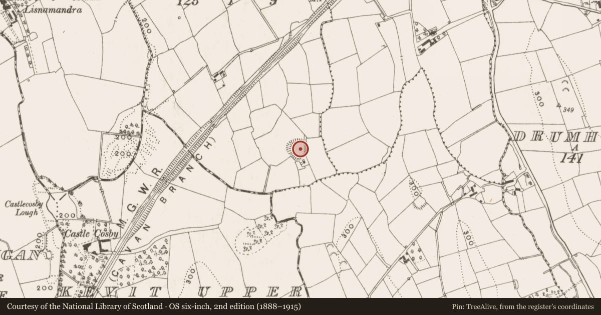 Ordnance Survey six-inch map, 2nd edition (1888–1915) covering the location of Ringfort - rath, Tircullen, County Cavan, with a pin at the register's coordinates